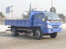 Самосвал Foton BJ3093DDPFD-S